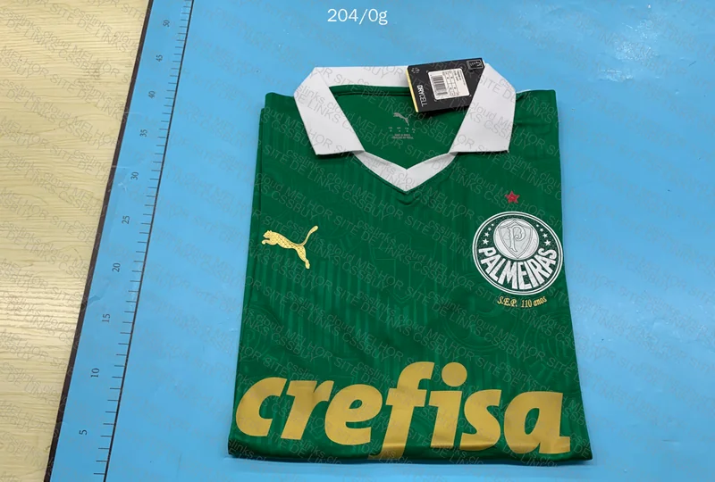 Palmeiras Player Jersey 24-25