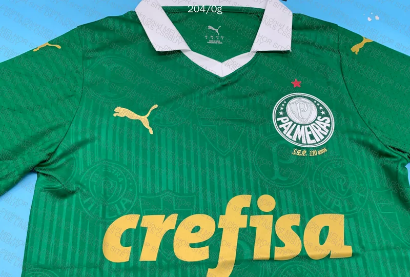 Palmeiras Player Jersey 24-25 5