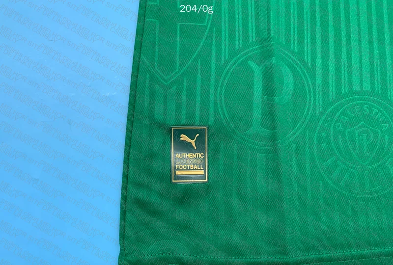 Palmeiras Player Jersey 24-25 7