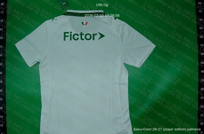 Camisa Palmeiras modelo jogador 2