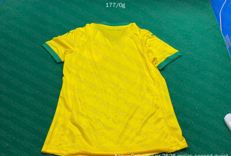 Palmeiras Puma III 25/26 Player Jersey