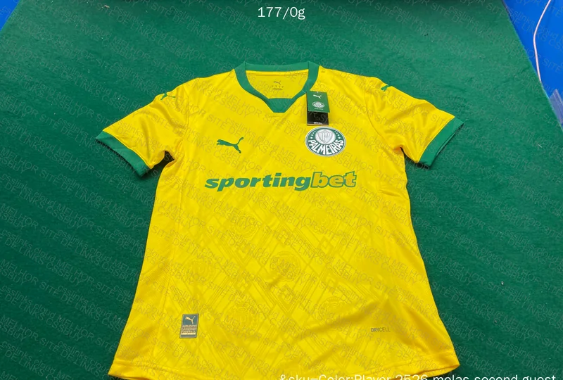 Palmeiras Puma III 25/26 Player Jersey 3