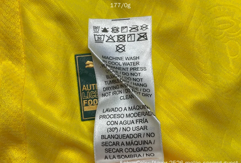 Palmeiras Puma III 25/26 Player Jersey 4