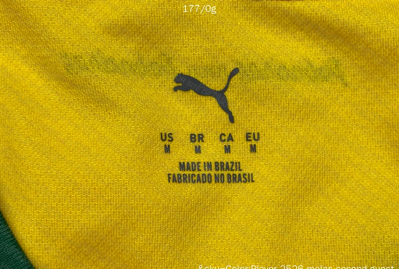 Palmeiras Puma III 25/26 Player Jersey 5