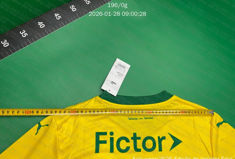 Camisa Palmeiras Puma III 25/26 Jogador