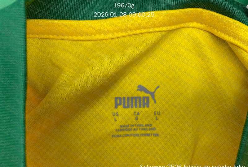 Camisa Palmeiras Puma III 25/26 Jogador 6