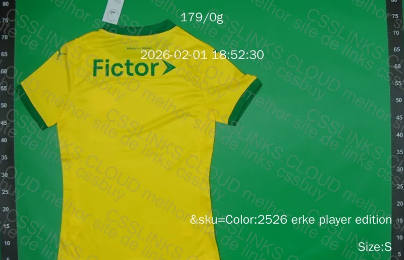 Camisa Palmeiras Puma III 25/26 Jogador 4