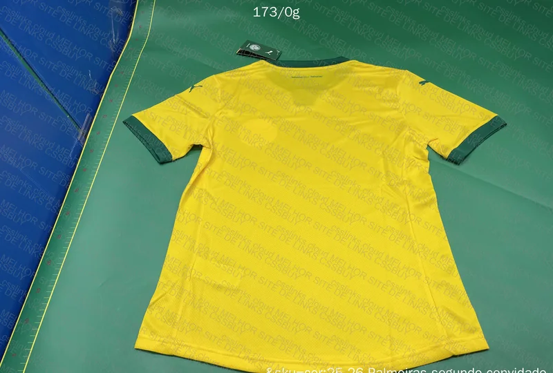 Palmeiras Third Jersey (Player Version) 2