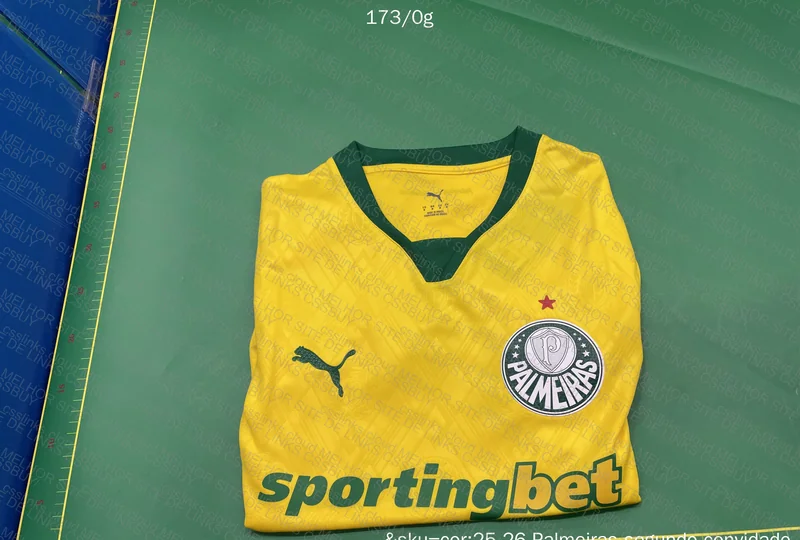 Palmeiras Third Jersey (Player Version) 3