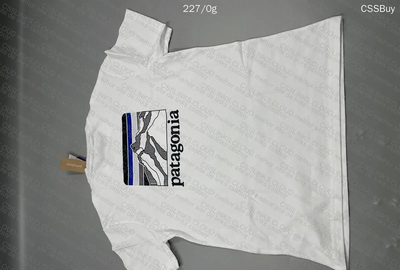 Patagonia Jersey 5
