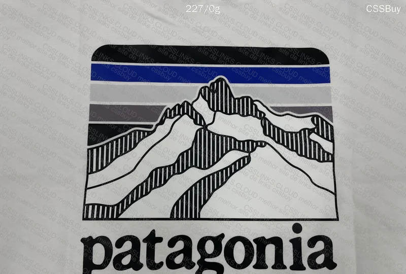 Patagonia Jersey 6