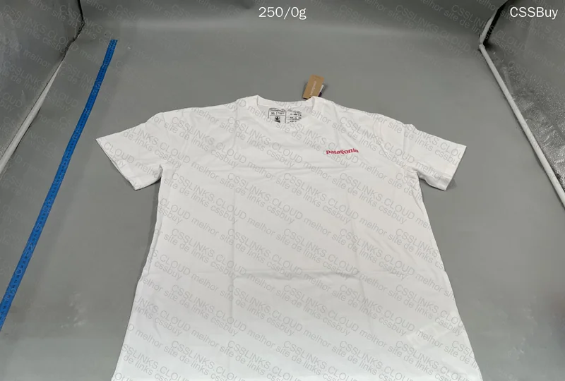 Patagonia Jersey 2