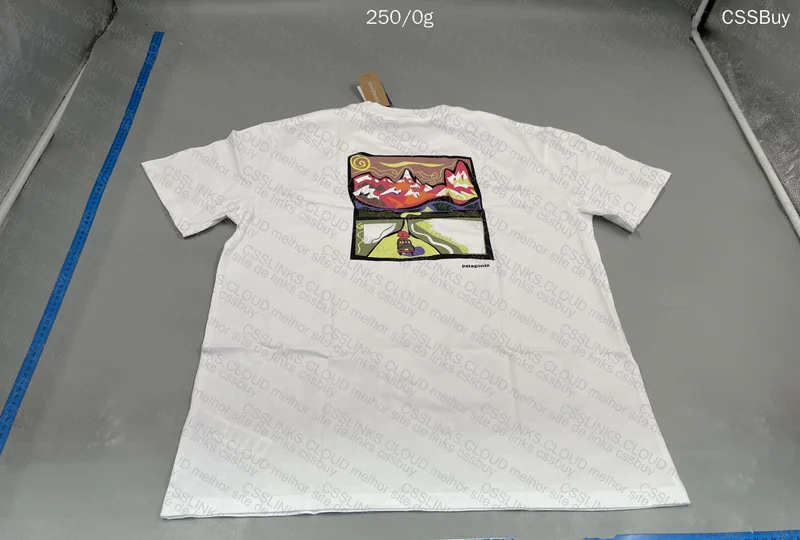 Patagonia Jersey 4