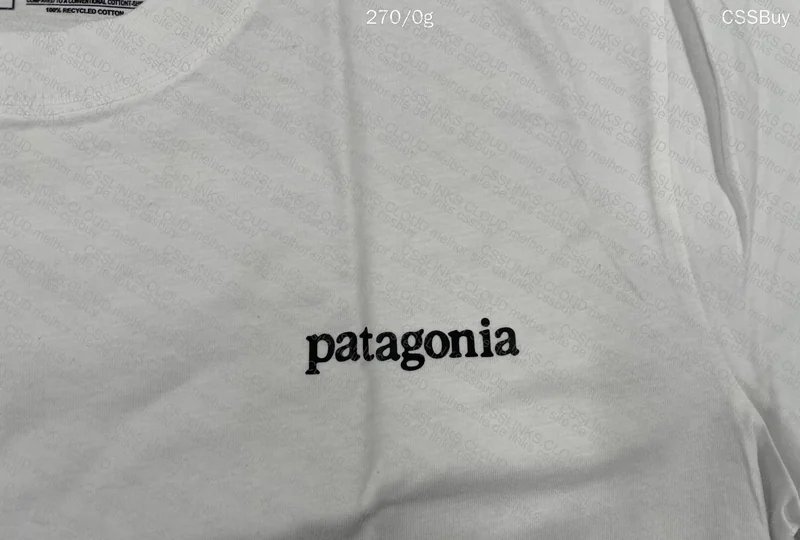 Patagonia Jersey 2
