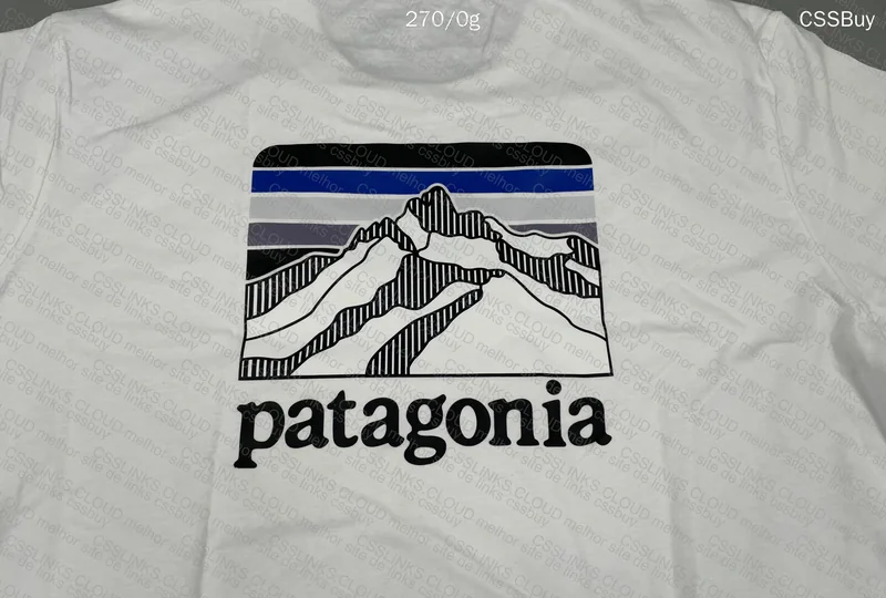 Patagonia Jersey 4