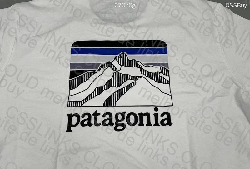 Patagonia Jersey 6