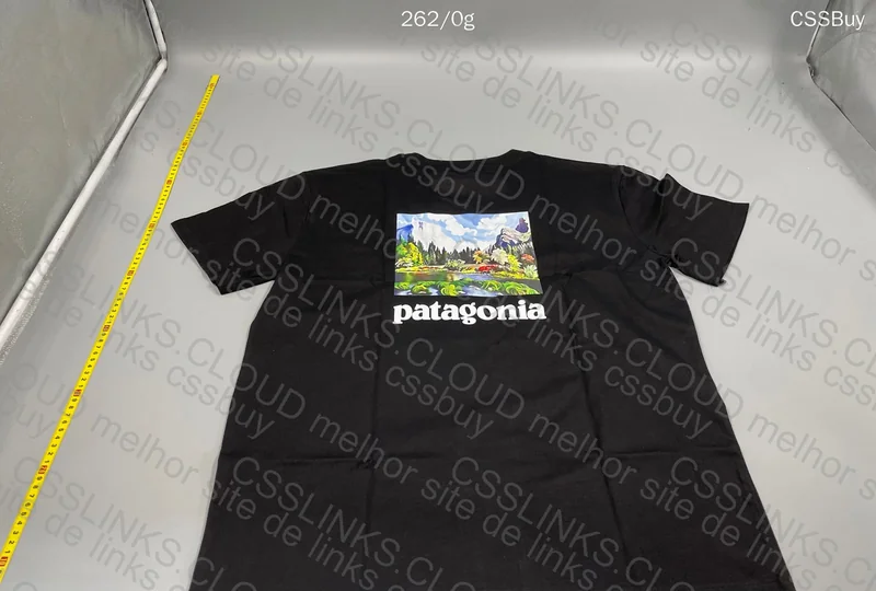 Patagonia Jersey 2
