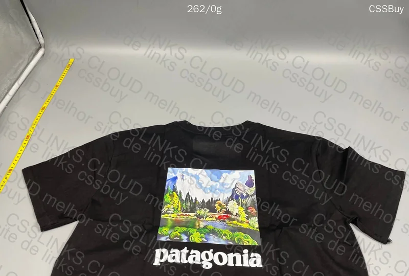 Patagonia Jersey 5