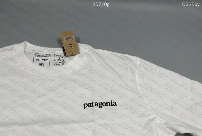 Patagonia Jersey 2