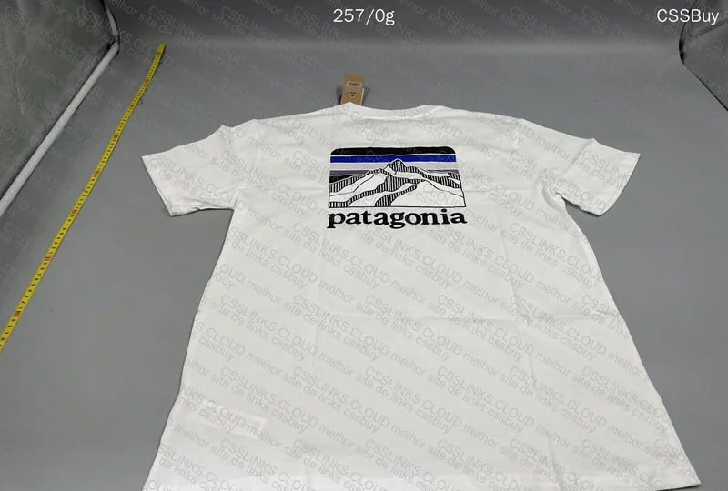 Patagonia Jersey 4