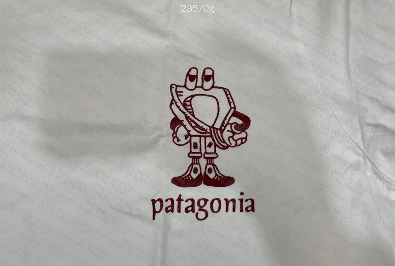 Patagonia Jersey 2