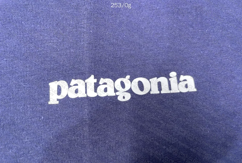 Patagonia Jersey 3