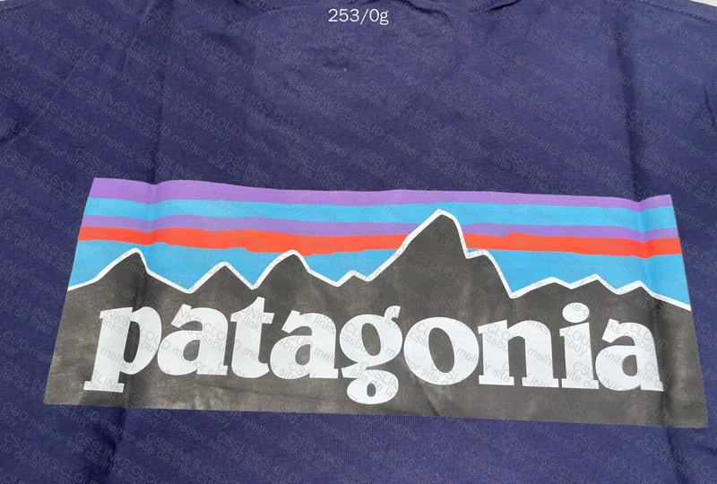 Patagonia Jersey 4