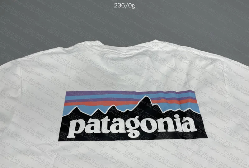 Patagonia Jersey 6
