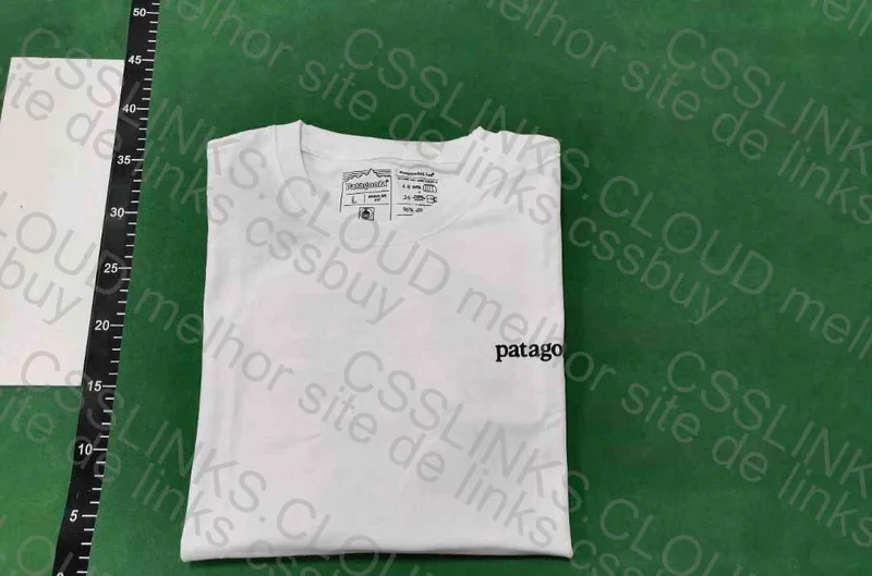 Patagonia Jersey 4