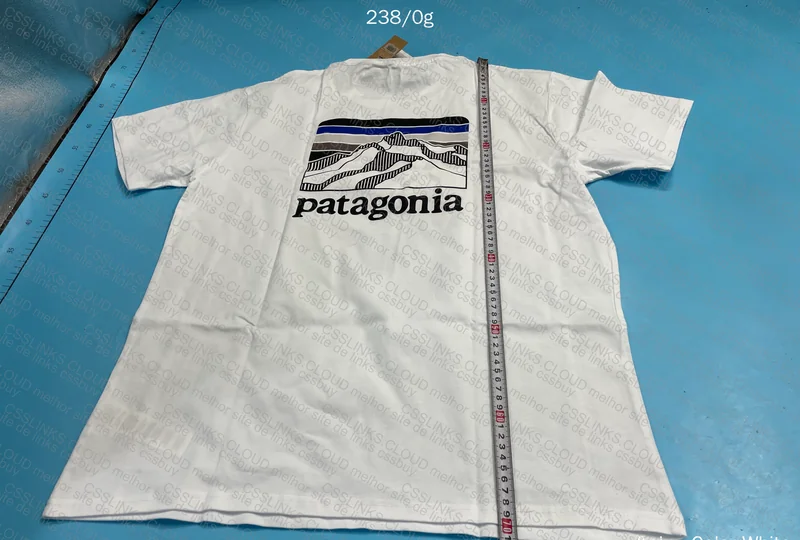 Patagonia Jersey 5