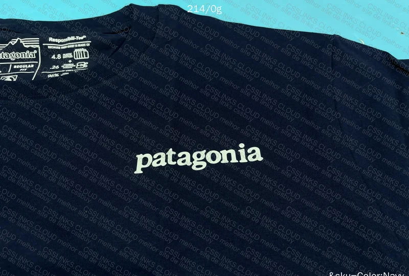 Patagonia Jersey 2