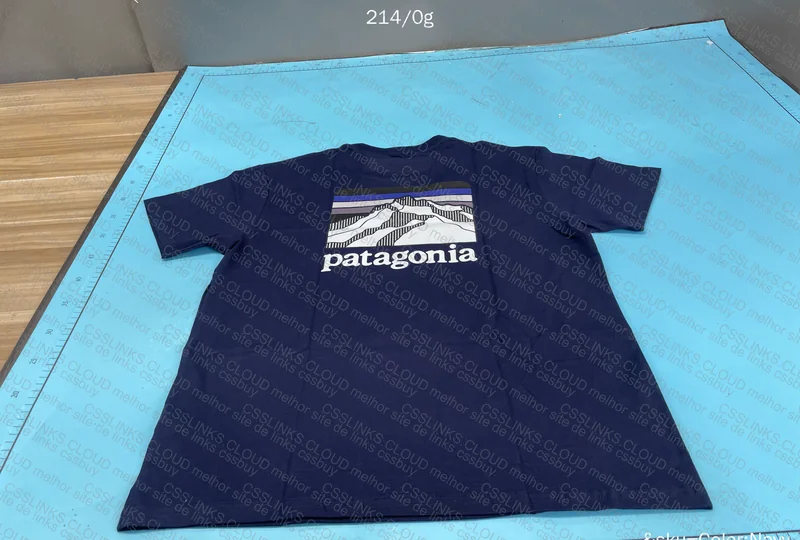 Patagonia Jersey 4