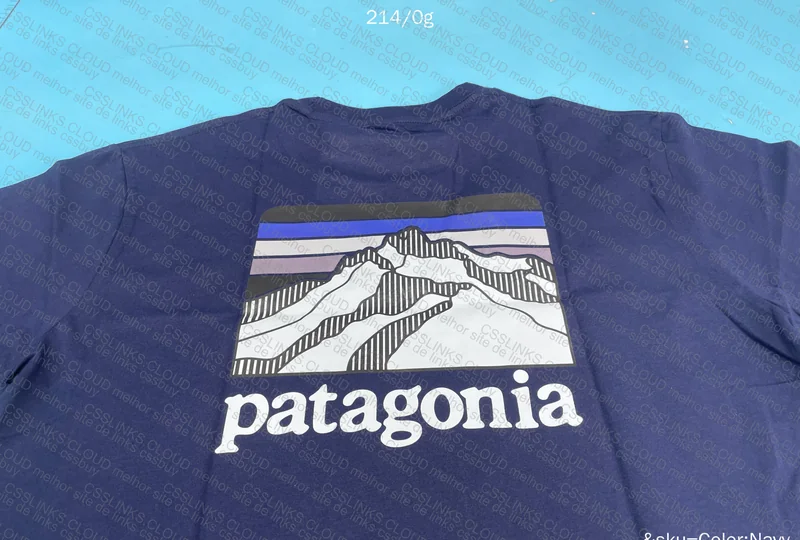 Patagonia Jersey 6
