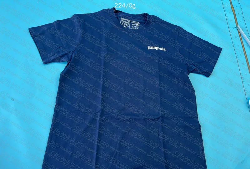 Patagonia Jersey 2