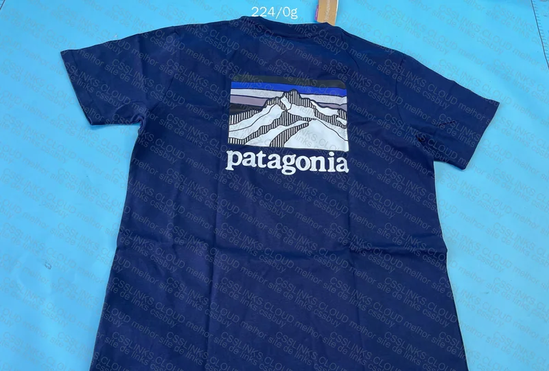 Patagonia Jersey 4