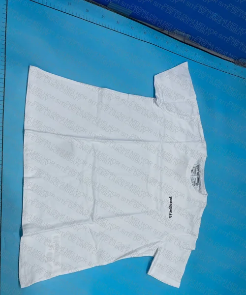 Patagonia Jersey