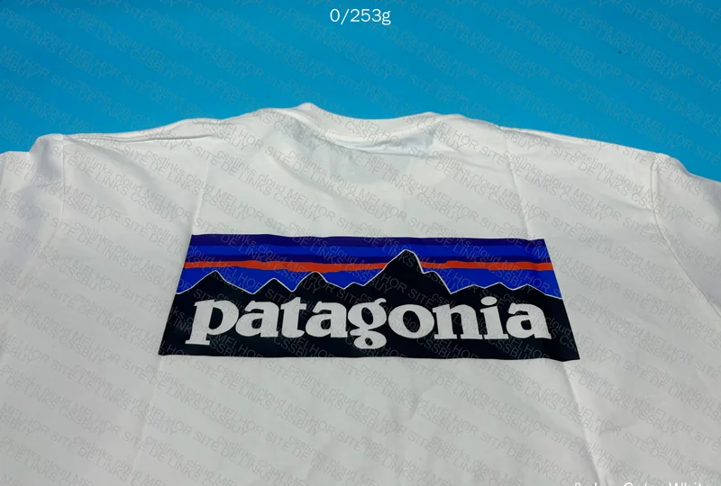 Patagonia Jersey 2