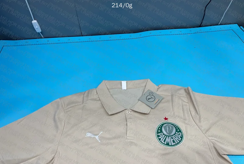 Palmeiras 2025 Polo Shirt 2