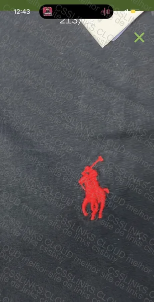 Polo Ralph Lauren Polo Shirt