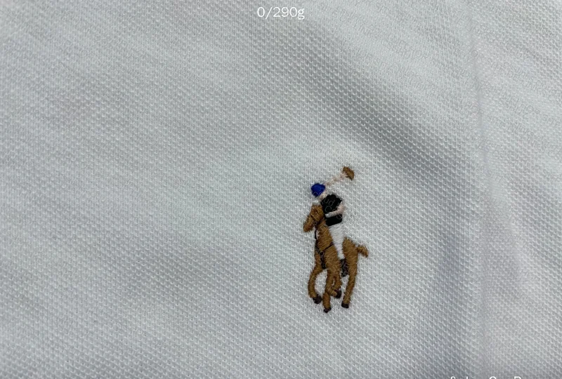 Ralph Lauren Polo Shirt (Cotton) 6