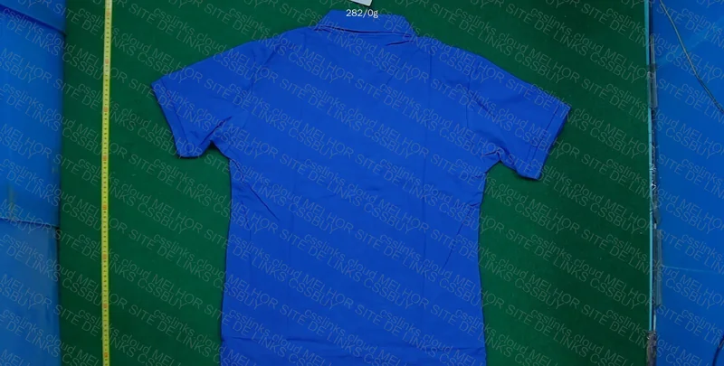 Ralph Lauren Blue and Green Polo Shirt