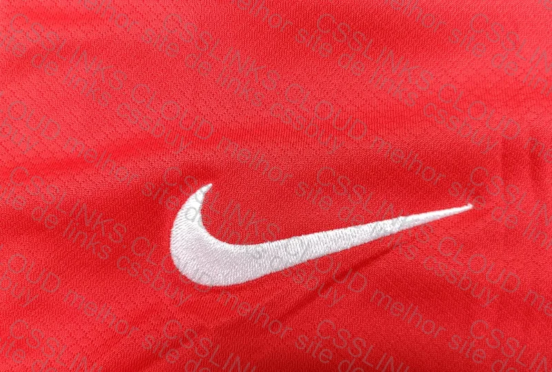Portugal Fan Jersey (Last Nike) 4