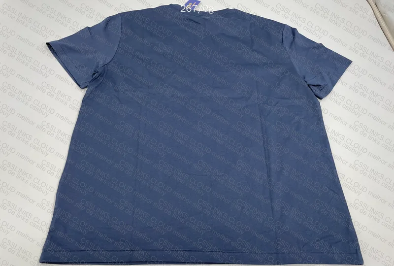 Ralph Lauren Shirt (Help) 2