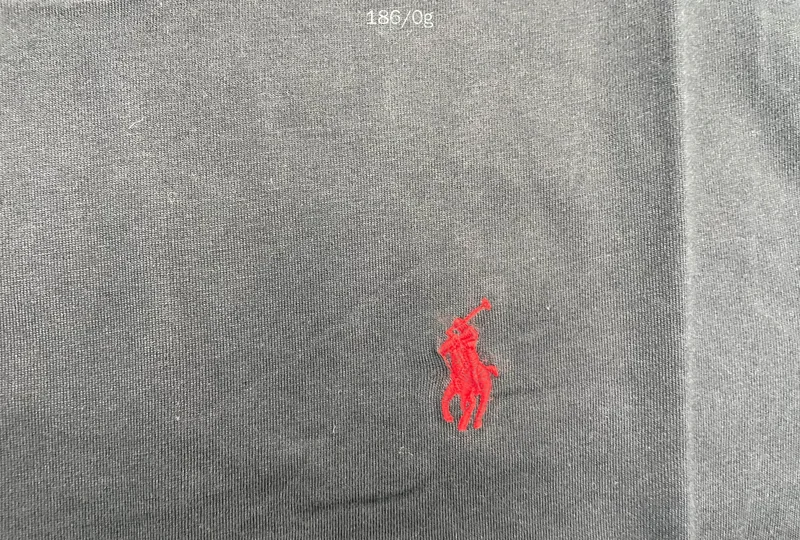 Basic Ralph Lauren Shirt 2