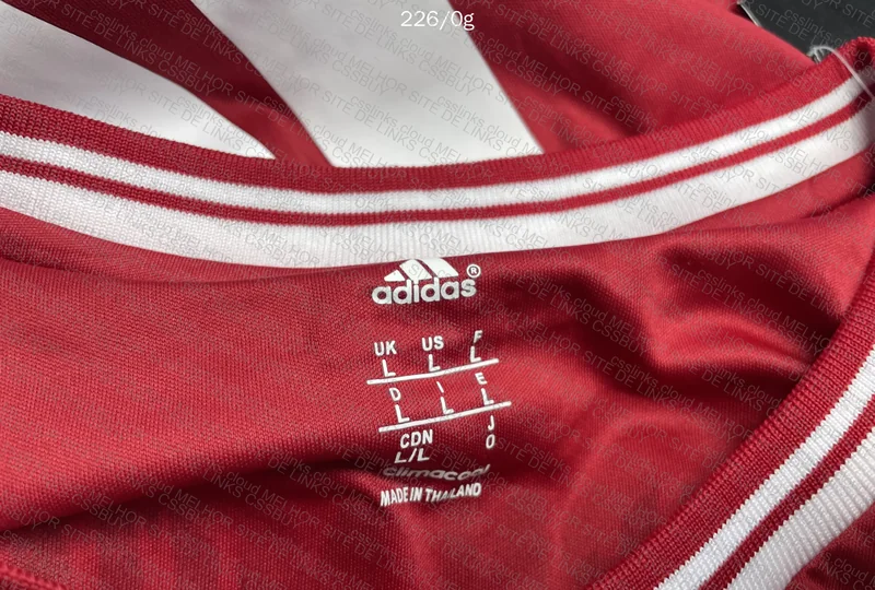 Robben Shirt 2