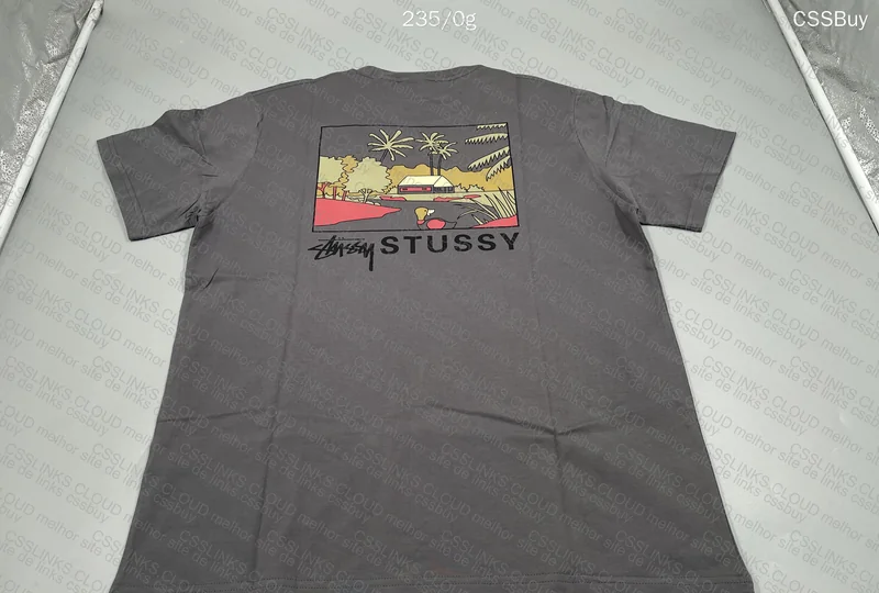 Stüssy Shirt 2