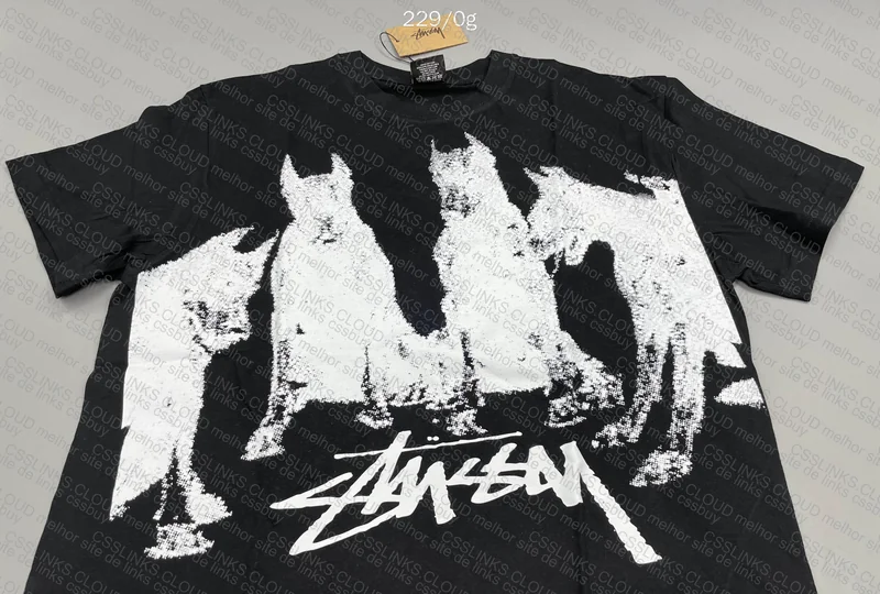 Stussy Shirt 2