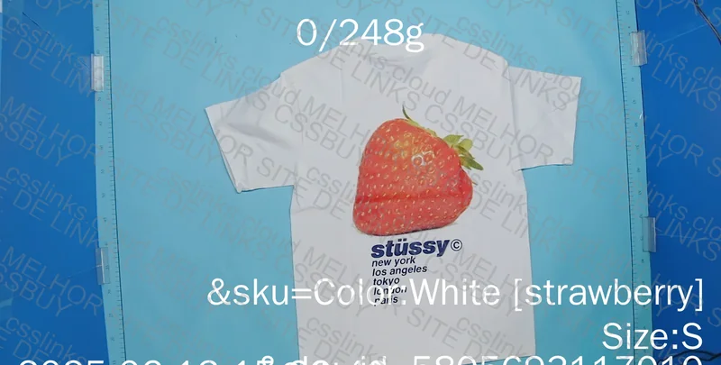 Stussy Shirt 2