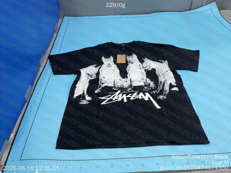 Stussy Shirt 4