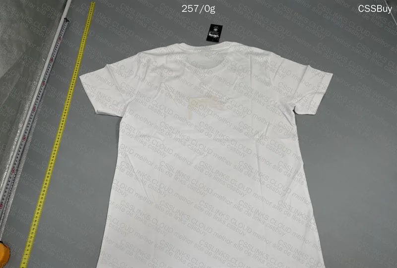 Stussy Shirt GL or RL?? 4